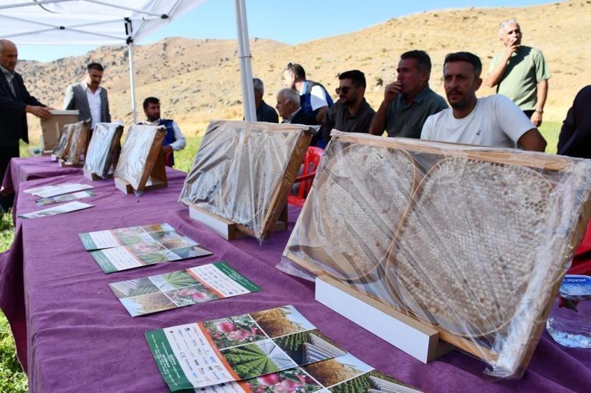 Şırnak'ın ilk festivali oldu: Kato Dağı'nda şenlik var