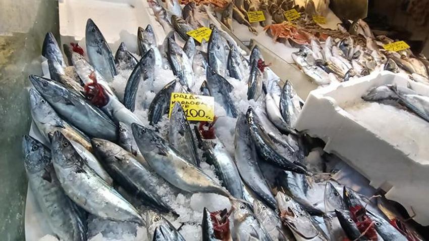 İzmir'de balık avı sezonu bereketli başladı: Ağlar hamsi, sardalya ve palamutla doldu, tezgahta kilosu 100 lira!