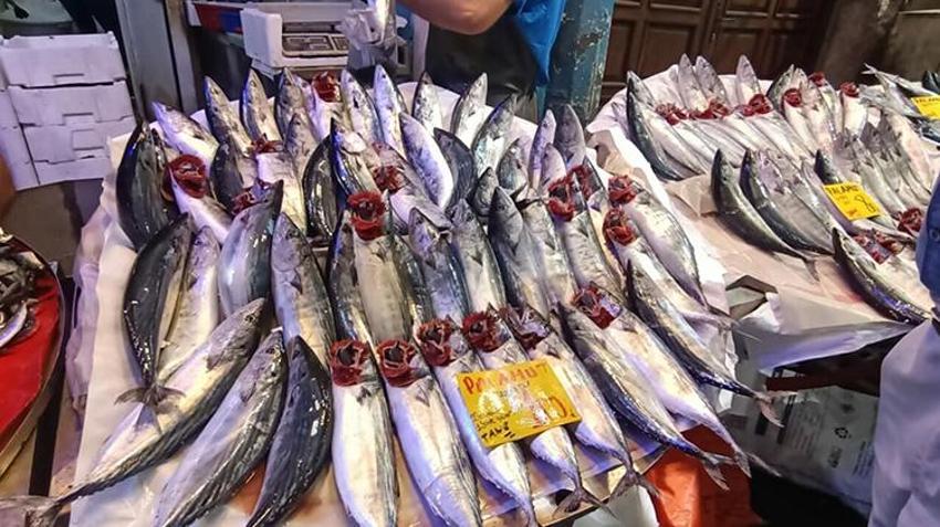 İzmir'de balık avı sezonu bereketli başladı: Ağlar hamsi, sardalya ve palamutla doldu, tezgahta kilosu 100 lira!