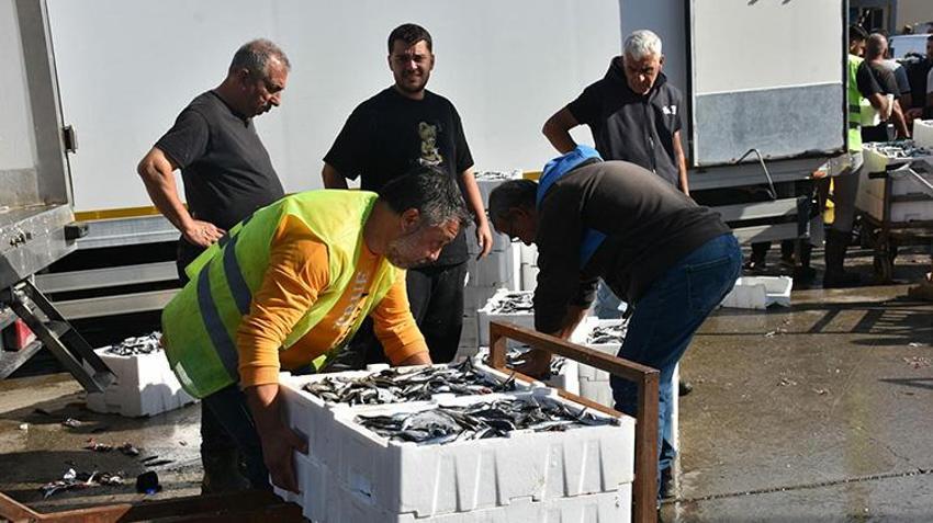 İzmir'de balık avı sezonu bereketli başladı: Ağlar hamsi, sardalya ve palamutla doldu, tezgahta kilosu 100 lira!