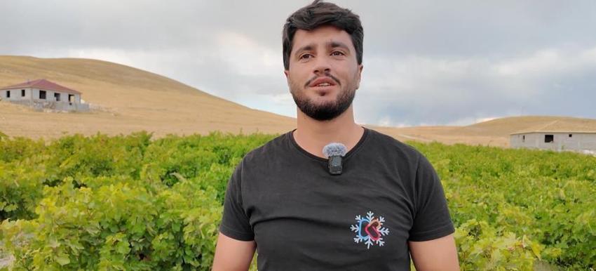 Van'da Urartulardan kalan 2 bin 800 yıllık miras! Coğrafi işaretli lezzette hasat başladı ama üreticiler soğuk hava deposu ve kooperatifleşme desteği istiyor