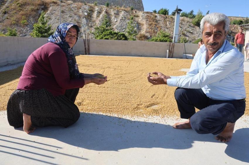 3 saat kazanda kaynatılıyor, günlerce kurutuluyor! Hatay’da dededen kalma lezzet ambarlara giriyor