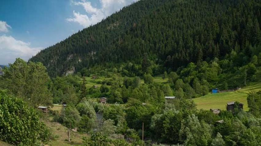 Afyon ve Eskişehir de listede: 27 ilde bazı bölgeler orman sınırları dışına çıkarıldı