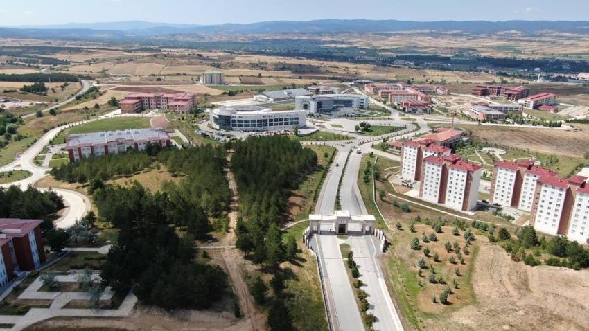 Ruslar keşfetti, Türkler isim verdi: Kastamonu'da arazide karşılarına çıktı!