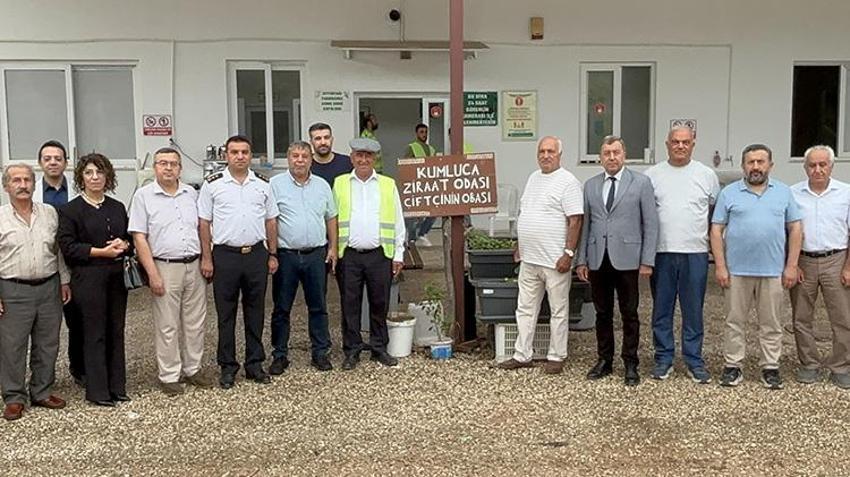 Antalya'da yeşil altın için düğmeye basıldı! Bu yıl geçen yılı katlayacak: Çiftçiye kritik uyarı