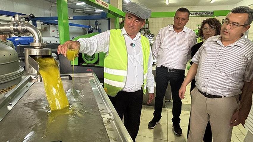 Antalya'da yeşil altın için düğmeye basıldı! Bu yıl geçen yılı katlayacak: Çiftçiye kritik uyarı