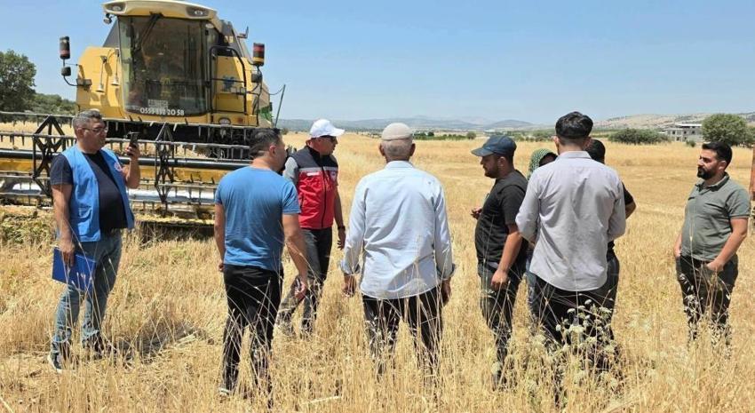 Diyarbakır Dicle'de çiftçilere müjde: %75 hibeli kırmızı mercimek tohumu desteği başvuru süreci başladı!
