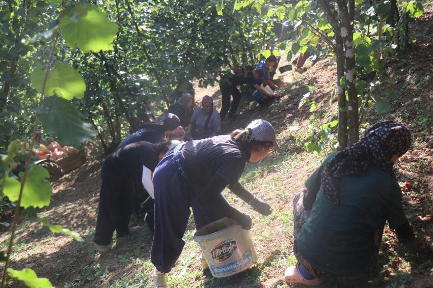 Bütün köy bu fabrikaya ortak! Üreticiler ürünlerini tüccara satmak yerine katma değerli nihai ürüne dönüştürdü
