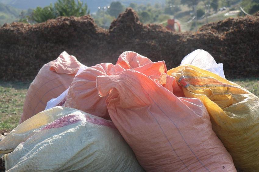 Bütün köy bu fabrikaya ortak! Üreticiler ürünlerini tüccara satmak yerine katma değerli nihai ürüne dönüştürdü