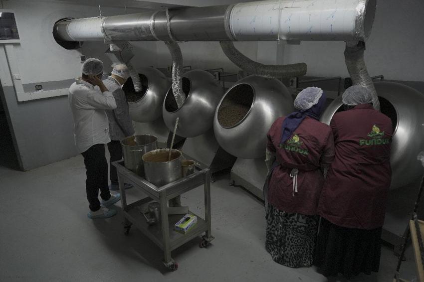 Bütün köy bu fabrikaya ortak! Üreticiler ürünlerini tüccara satmak yerine katma değerli nihai ürüne dönüştürdü