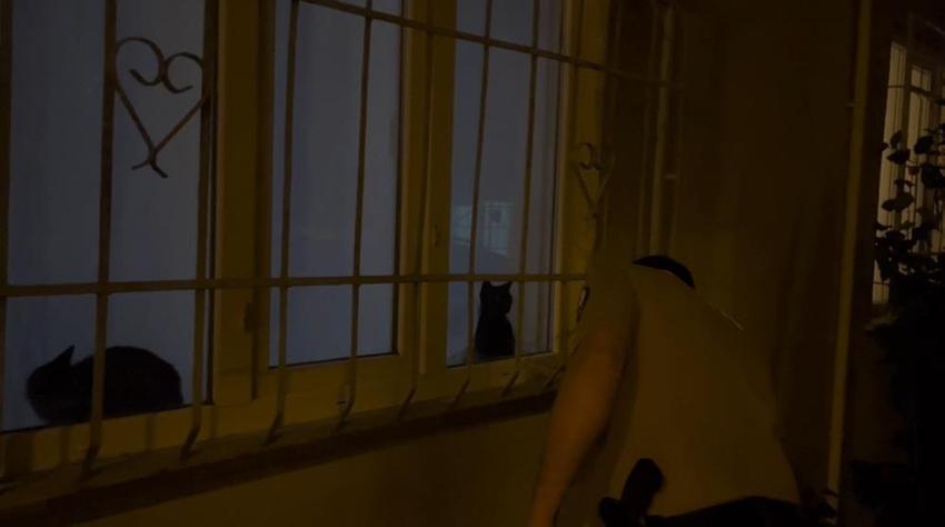 Bursa'da gece yarısı gelen sesler mahalleliyi canından bezdirdi! Hepsi sokağa döküldü, polis bile çözüm bulamadı