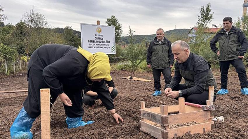 Türkiye’de bir ilk! Zonguldak’ta başladı: Kilosu altın değerinde, yeni gelir kapısı oldu
