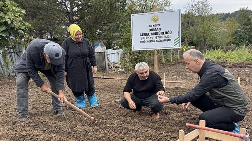 Türkiye’de bir ilk! Zonguldak’ta başladı: Kilosu altın değerinde, yeni gelir kapısı oldu