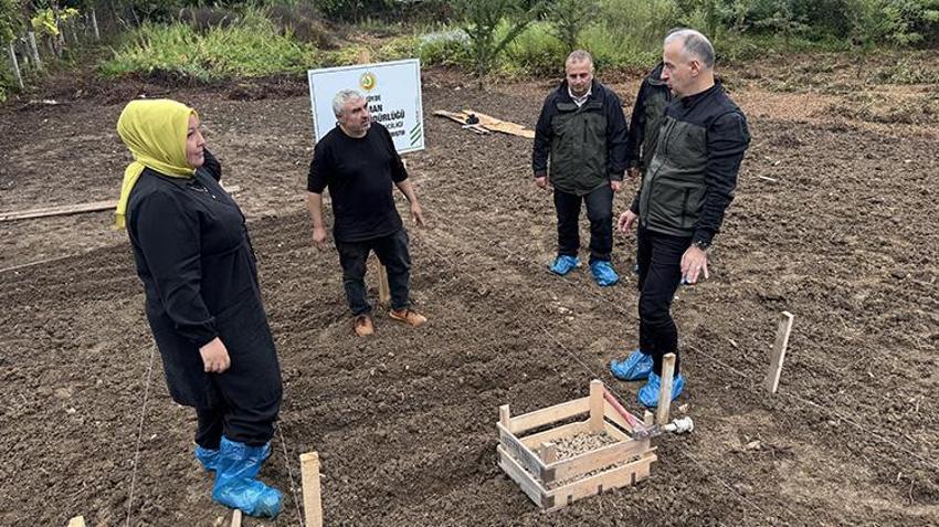 Türkiye’de bir ilk! Zonguldak’ta başladı: Kilosu altın değerinde, yeni gelir kapısı oldu