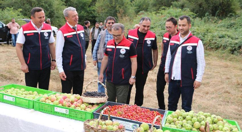 Ahududu, böğürtlen, kuşburnu ve dağ çileği! Bolu'da doğadan toplanan orman meyveleri gelir kapısı oldu