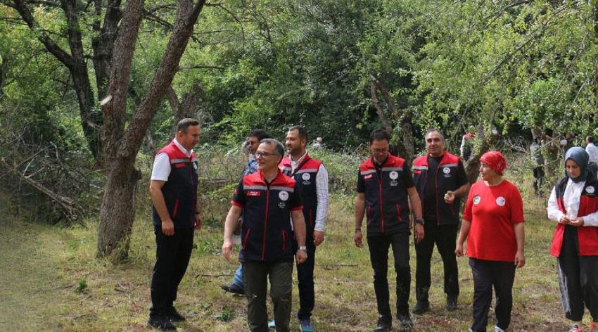 Ahududu, böğürtlen, kuşburnu ve dağ çileği! Bolu'da doğadan toplanan orman meyveleri gelir kapısı oldu