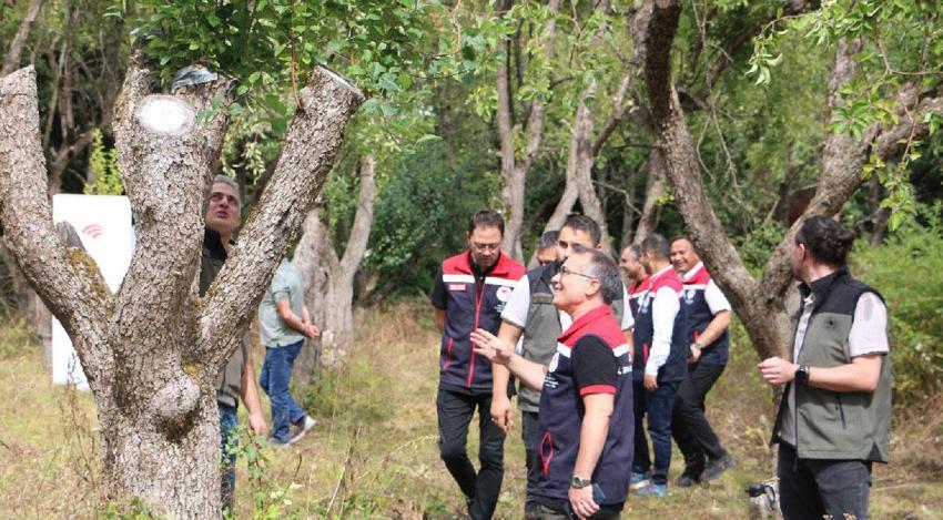 Ahududu, böğürtlen, kuşburnu ve dağ çileği! Bolu'da doğadan toplanan orman meyveleri gelir kapısı oldu
