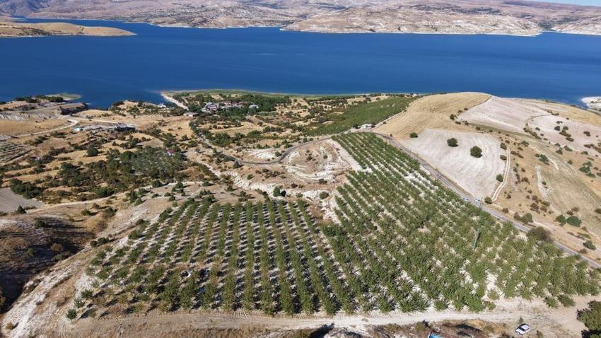 9 yılda başardı: Çorak arpa tarlası para basıyor! Ürünleri yurt dışına ihraç ediliyor