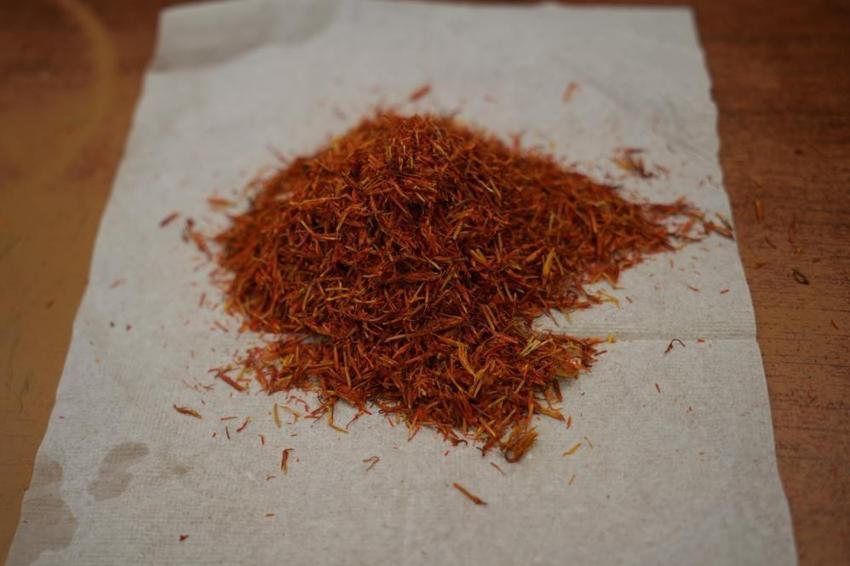 Kilosu 900 bin lira! 150 bin çiçekten gram gram toplanıyor: Gerçeğini anlamak için suya atmak yetiyor