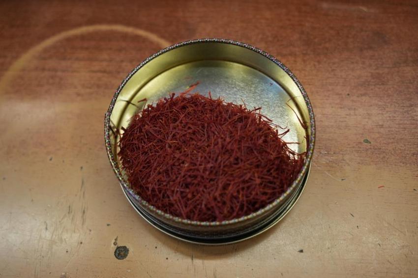 Kilosu 900 bin lira! 150 bin çiçekten gram gram toplanıyor: Gerçeğini anlamak için suya atmak yetiyor