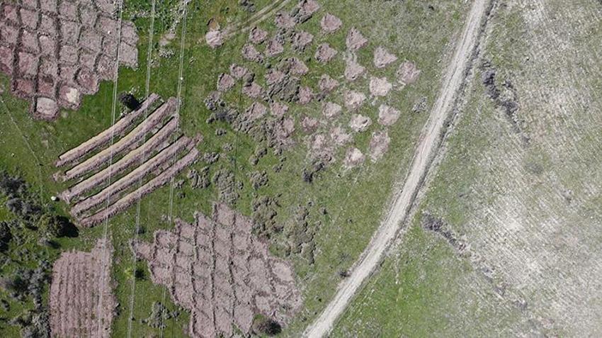 İzmir'den iklim krizine karşı dev proje: Geleneksel yöntemler tarihe karışıyor! Yağmur suyu kullanıldı, bu sayede fidanlar iki kat daha hızlı büyüyor!