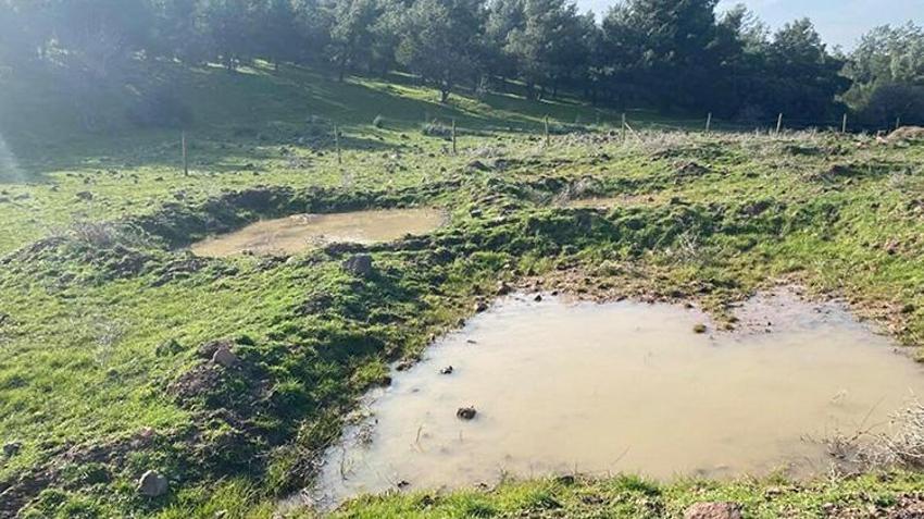İzmir'den iklim krizine karşı dev proje: Geleneksel yöntemler tarihe karışıyor! Yağmur suyu kullanıldı, bu sayede fidanlar iki kat daha hızlı büyüyor!