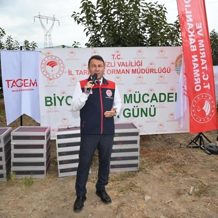 Denizli'de Akdeniz meyve sineğine karşı dev mücadele başladı! Binlercesi doğaya salındı meyvede kayıpların önüne geçecek