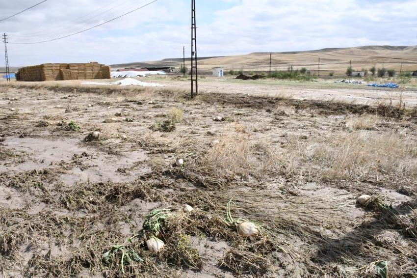 Yozgat'ta 2 saatlik sağanak yağış sonrası hayat durdu! Tarım arazileri, bahçeler ve evler zarar sular altında kaldı