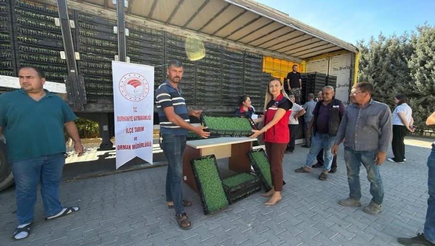 Balıkesir’de tarlalar yeşerecek! Çiftçiye yüzde 75 hibeli dağıtıldı