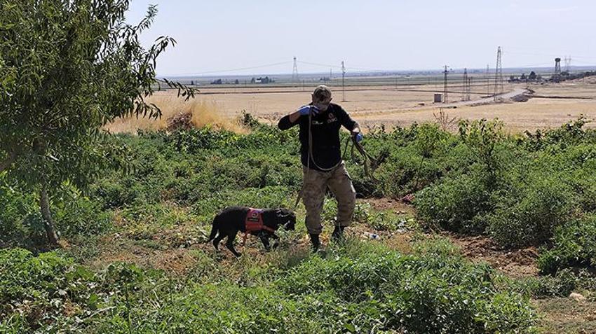 Mardin'de kaybolan 13 yaşındaki çocuk için arama kurtarma çalışmaları genişletirliyor