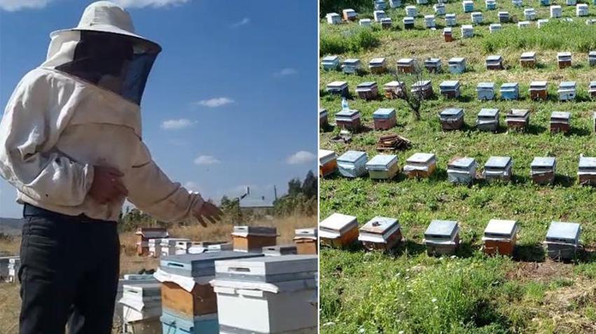 Gerçek bal nasıl anlaşılır? Muşlu balcı Niyazi Bingöl'den piyasadaki oyunu bozacak açıklamalar: O ballar arı yüzü görmüyor