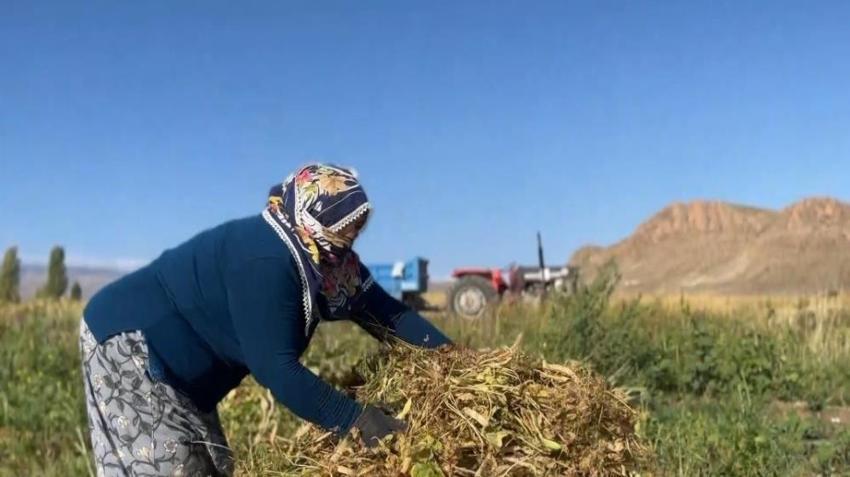 Erzincan'ın beklediği haber Türkiye'yi de sardı: 5 ay sonra başladı