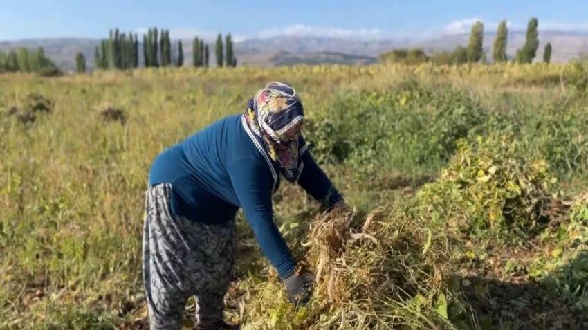 Erzincan'ın beklediği haber Türkiye'yi de sardı: 5 ay sonra başladı