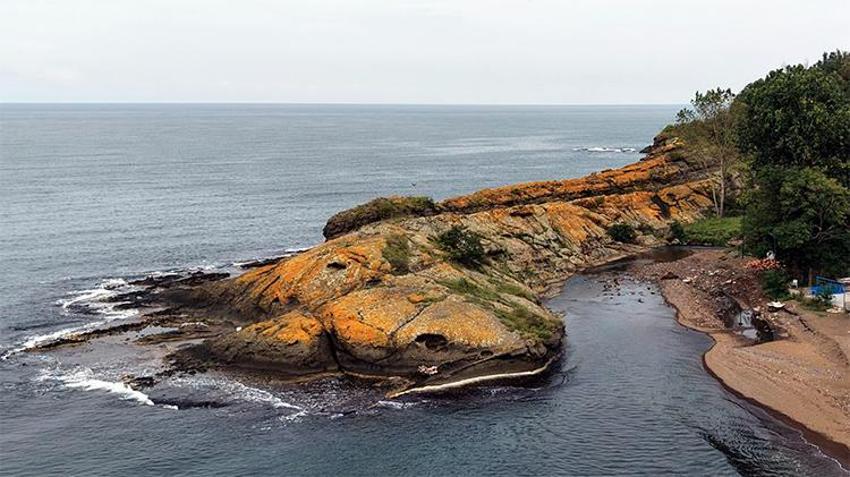 Karadeniz sularında yüzen timsah! Ziyaretçi akınına uğruyor