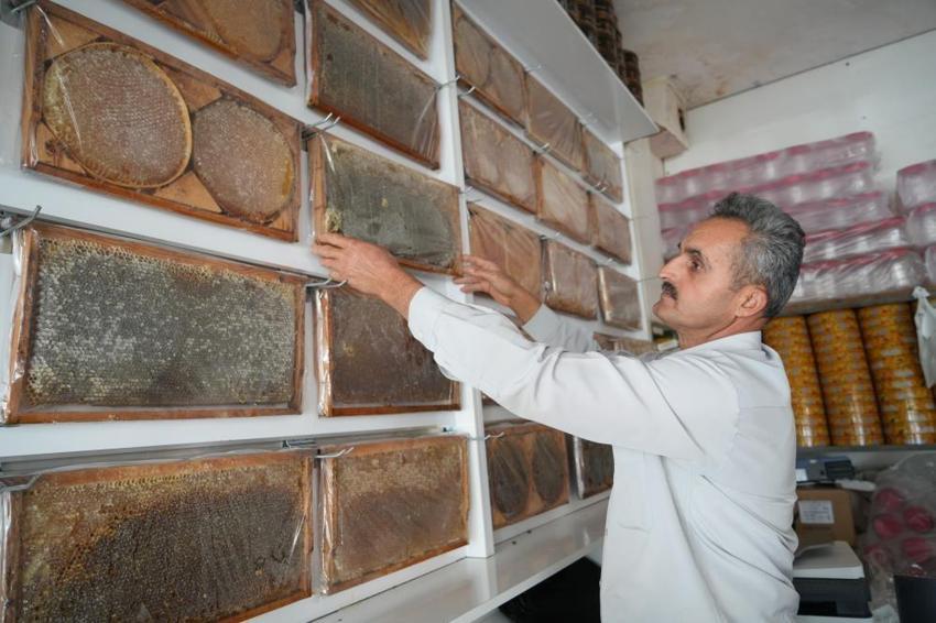 Muş Ovası'nda altın değerinde hasat bitti: 700 ton organik bal çıktı, kentte kış göçü başladı!