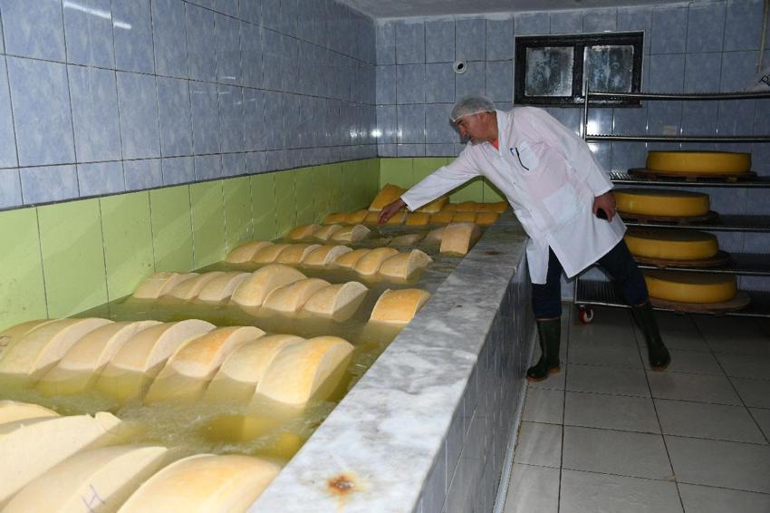 'Peynirlerin kralı' gravyer 13. yüzyıldan beri aynı tekniklerle üretiliyor!