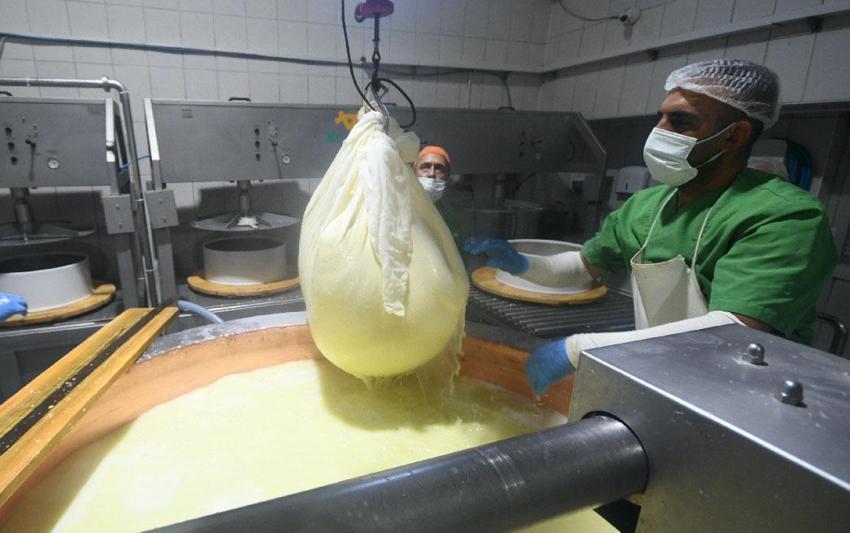 'Peynirlerin kralı' gravyer 13. yüzyıldan beri aynı tekniklerle üretiliyor!