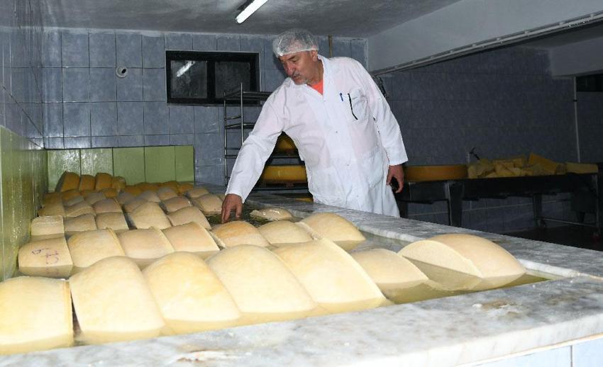 'Peynirlerin kralı' gravyer 13. yüzyıldan beri aynı tekniklerle üretiliyor!