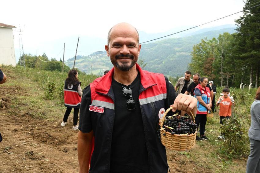 Kastamonu'da atıl arazilere hayat veren ürün! Aronya üreticinin yeni geçim kaynağı oldu