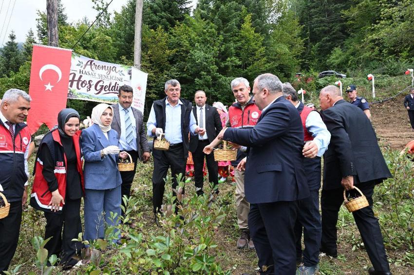 Kastamonu'da atıl arazilere hayat veren ürün! Aronya üreticinin yeni geçim kaynağı oldu