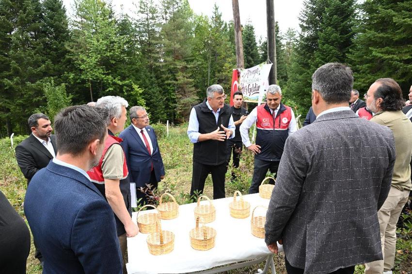 Kastamonu'da atıl arazilere hayat veren ürün! Aronya üreticinin yeni geçim kaynağı oldu