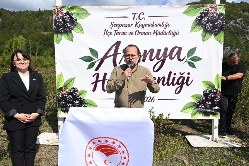 Kastamonu'da atıl arazilere hayat veren ürün! Aronya üreticinin yeni geçim kaynağı oldu