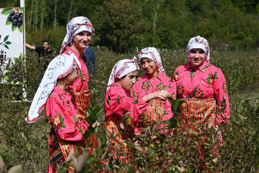 Kastamonu'da atıl arazilere hayat veren ürün! Aronya üreticinin yeni geçim kaynağı oldu