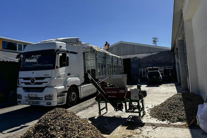 Atıl araziler tarımsal üretimle gelire dönüştürüldü çiftçilerin geçim kaynağı oldu!