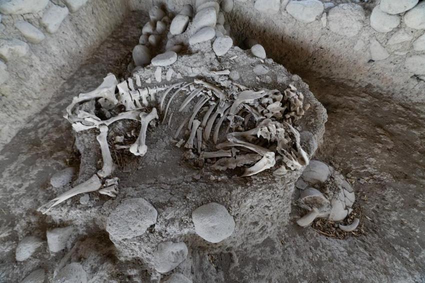 5 bin yıllık küpleri açınca inanamadılar! İzmir'de keşfedildi: Zenginliğin noktası