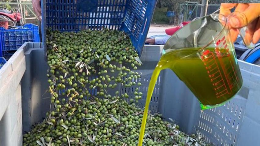 Bursa'da üretiliyor, 11 kilosundan sadece 1 litre çıkıyor: Almanya, İngiltere ve Amerika sıraya girdi