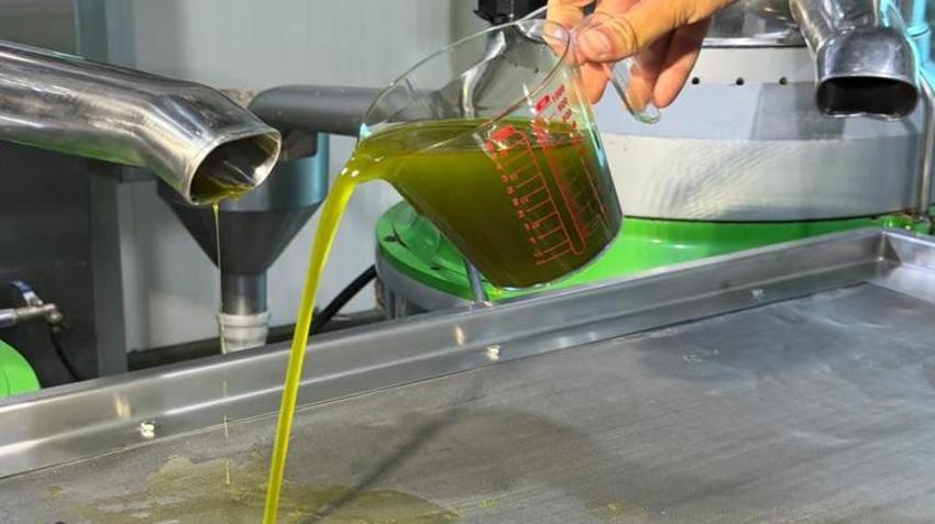 Bursa'da üretiliyor, 11 kilosundan sadece 1 litre çıkıyor: Almanya, İngiltere ve Amerika sıraya girdi