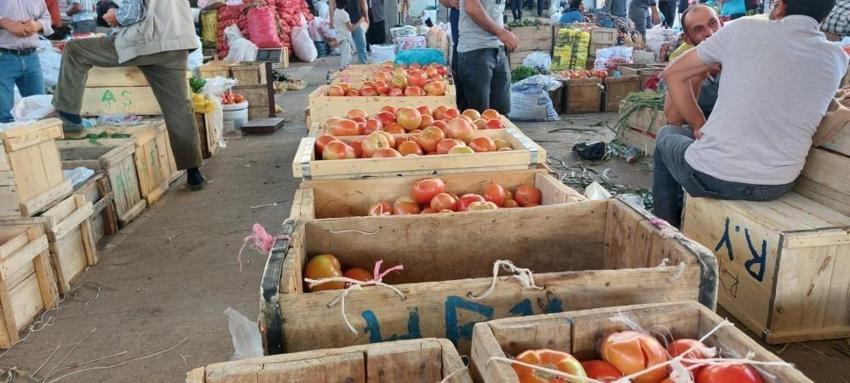 Diyarbakır'ın Akdeniz iklimine sahip ilçesinde hasat başladı: Fiyatı da belli oldu