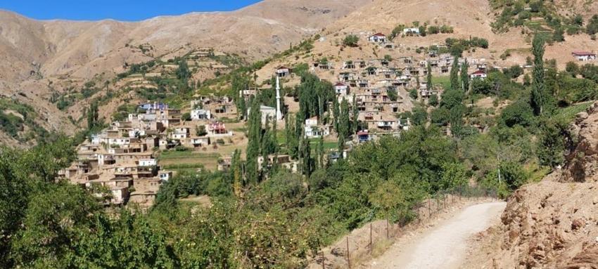 Diyarbakır'ın Akdeniz iklimine sahip ilçesinde hasat başladı: Fiyatı da belli oldu