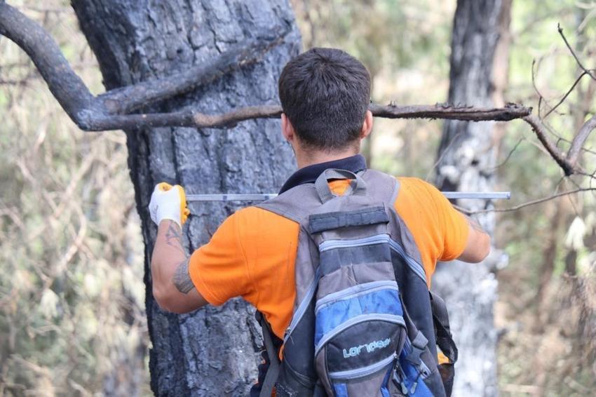 Adana'da tek tek damgalama dönemi başladı: Binlerce kişi etkilenecek
